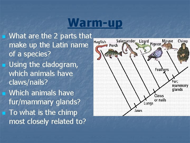 Warm-up n n What are the 2 parts that make up the Latin name Warm-up n n What are the 2 parts that make up the Latin name