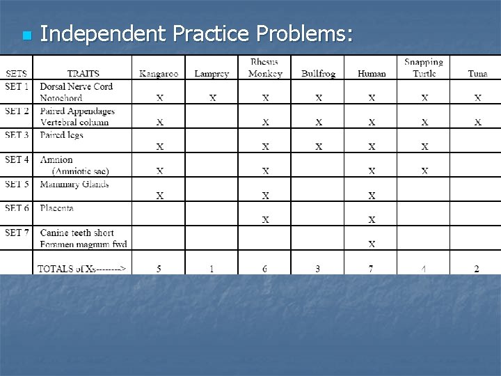 n Independent Practice Problems: n Independent Practice Problems: