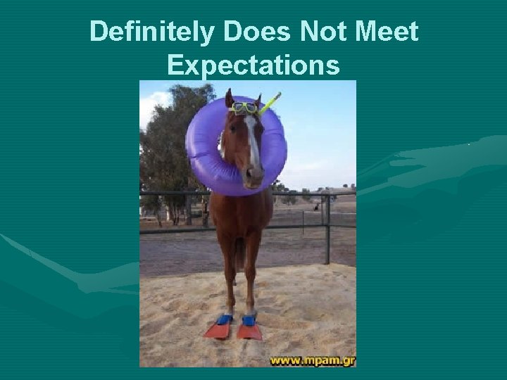 Definitely Does Not Meet Expectations 