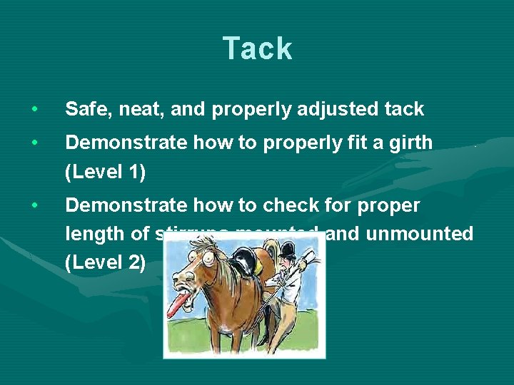 Tack • Safe, neat, and properly adjusted tack • Demonstrate how to properly fit