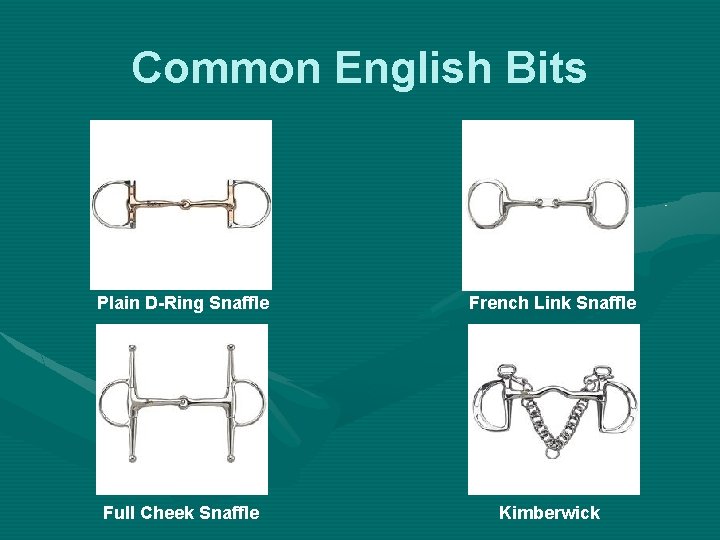 Common English Bits Plain D-Ring Snaffle French Link Snaffle Full Cheek Snaffle Kimberwick 