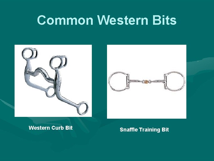 Common Western Bits Western Curb Bit Snaffle Training Bit 