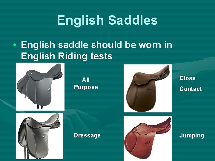 English Saddles • English saddle should be worn in English Riding tests All Purpose