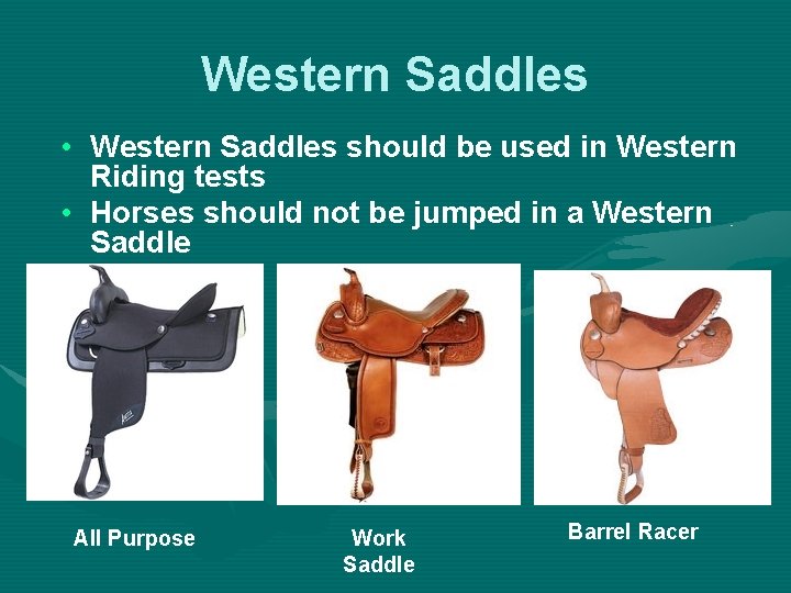 Western Saddles • Western Saddles should be used in Western Riding tests • Horses