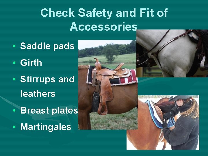 Check Safety and Fit of Accessories • Saddle pads • Girth • Stirrups and