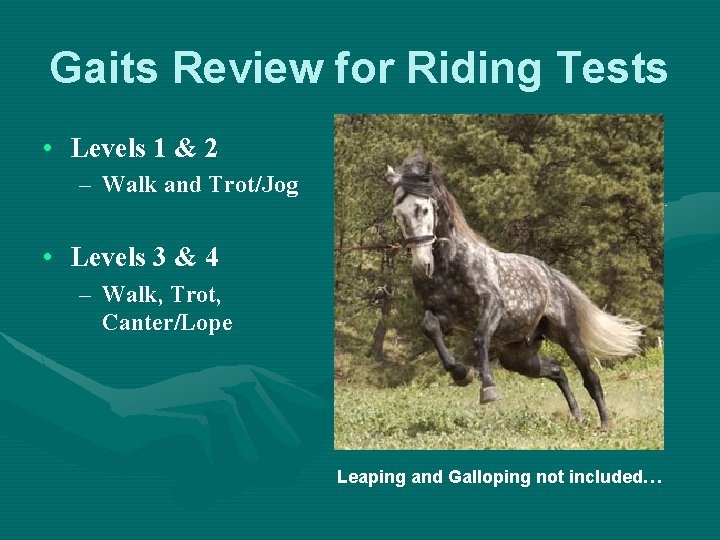 Gaits Review for Riding Tests • Levels 1 & 2 – Walk and Trot/Jog