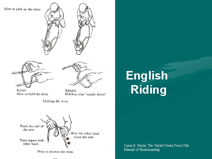 English Riding Susan E. Harris, The United States Pony Club Manual of Horsemanship 