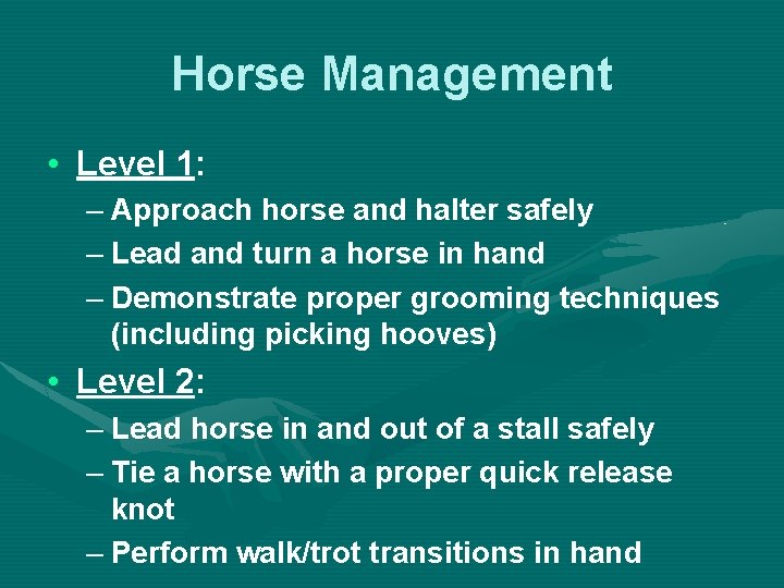 Horse Management • Level 1: – Approach horse and halter safely – Lead and