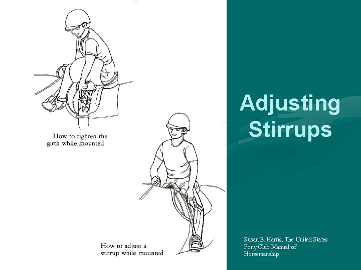 Adjusting Stirrups Susan E. Harris, The United States Pony Club Manual of Horsemanship 