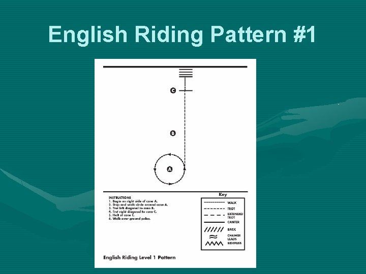 English Riding Pattern #1 