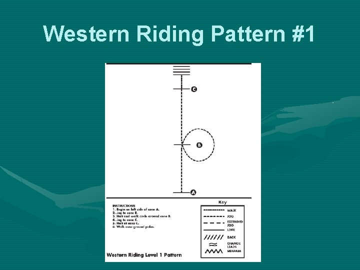 Western Riding Pattern #1 