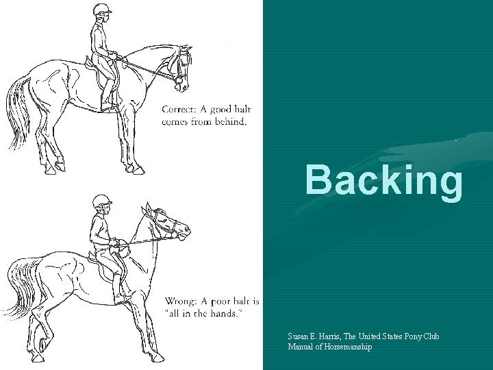 Backing Susan E. Harris, The United States Pony Club Manual of Horsemanship 