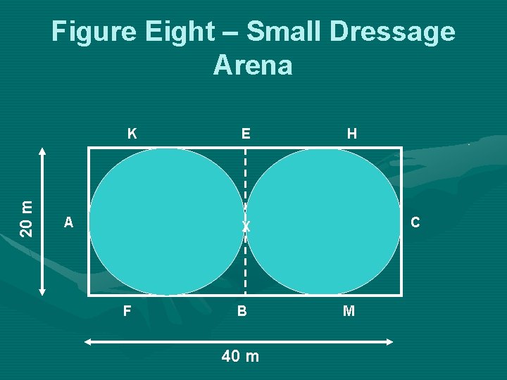 Figure Eight – Small Dressage Arena 20 m K A E H C X