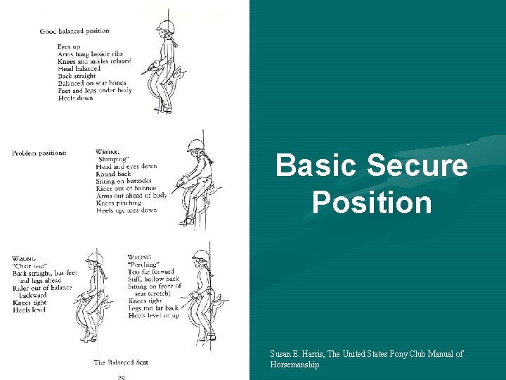 Basic Secure Position Susan E. Harris, The United States Pony Club Manual of Horsemanship