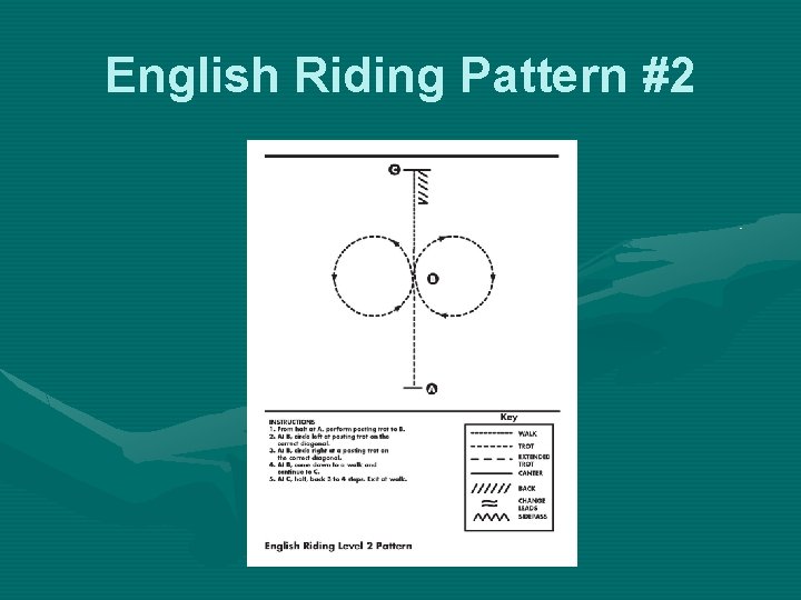 English Riding Pattern #2 