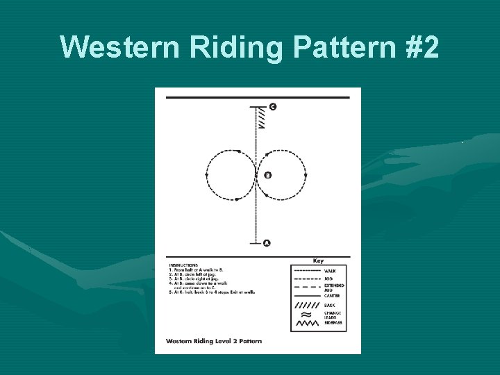 Western Riding Pattern #2 