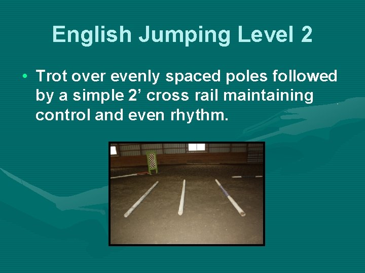 English Jumping Level 2 • Trot over evenly spaced poles followed by a simple