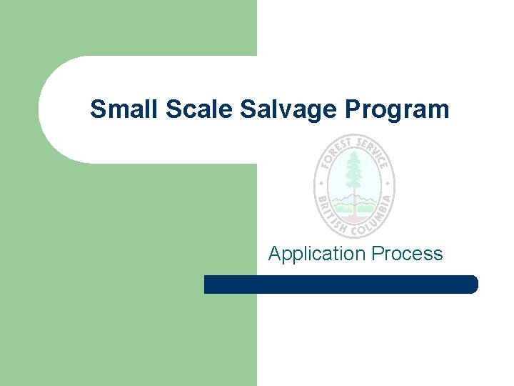 Small Scale Salvage Program Application Process 