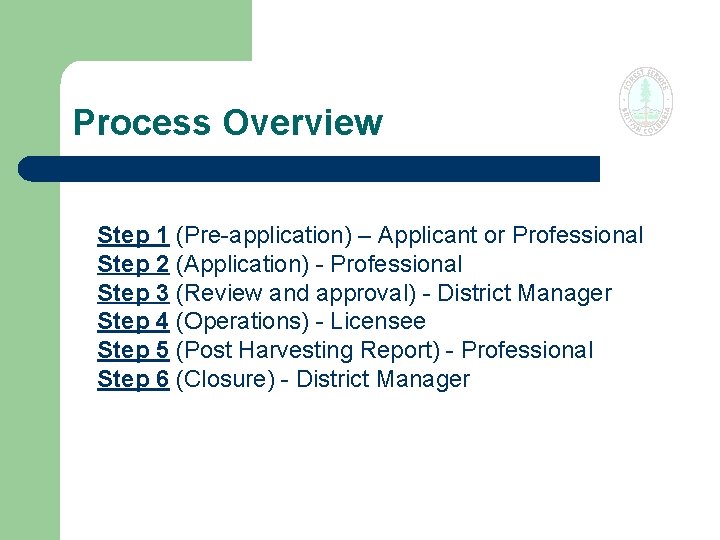 Process Overview Step 1 (Pre-application) – Applicant or Professional Step 2 (Application) - Professional