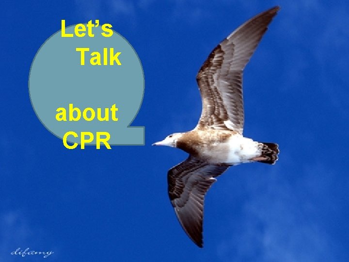 Let’s 　Talk 　 about CPR 