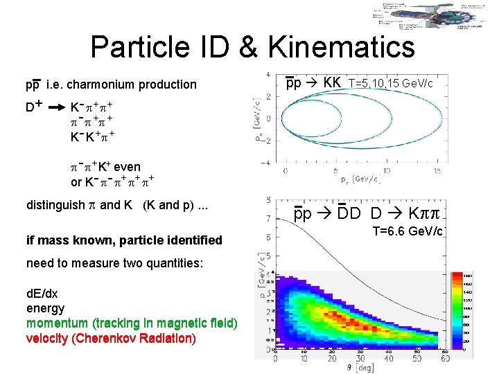 Particle ID & Kinematics pp i. e. charmonium production D+ K - + +