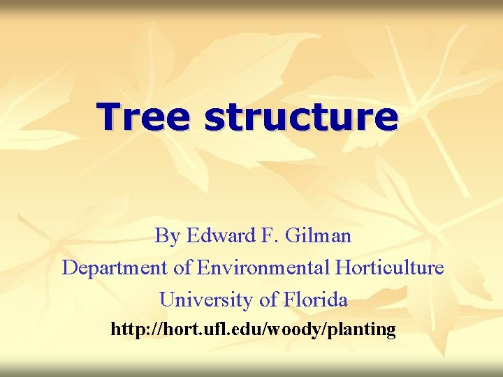 Tree structure By Edward F. Gilman Department of Environmental Horticulture University of Florida http: