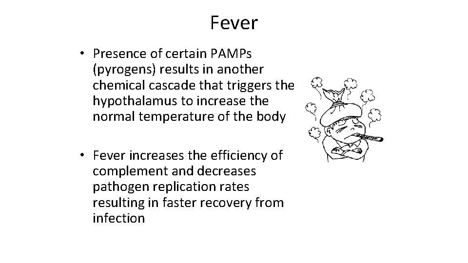 Fever • Presence of certain PAMPs (pyrogens) results in another chemical cascade that triggers