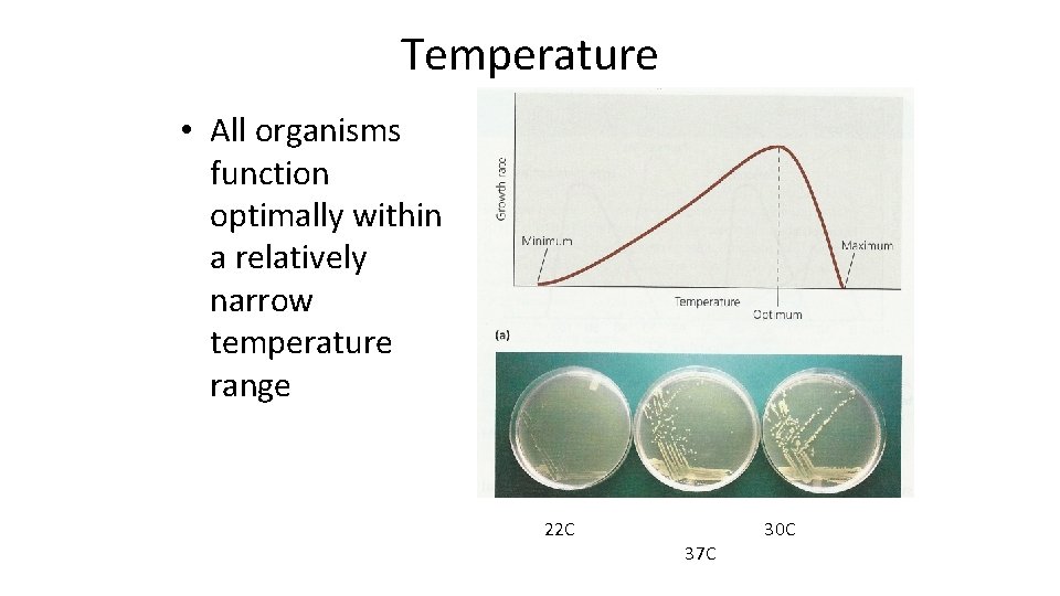 Temperature • All organisms function optimally within a relatively narrow temperature range 22 C