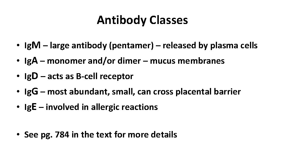 Antibody Classes • Ig. M – large antibody (pentamer) – released by plasma cells