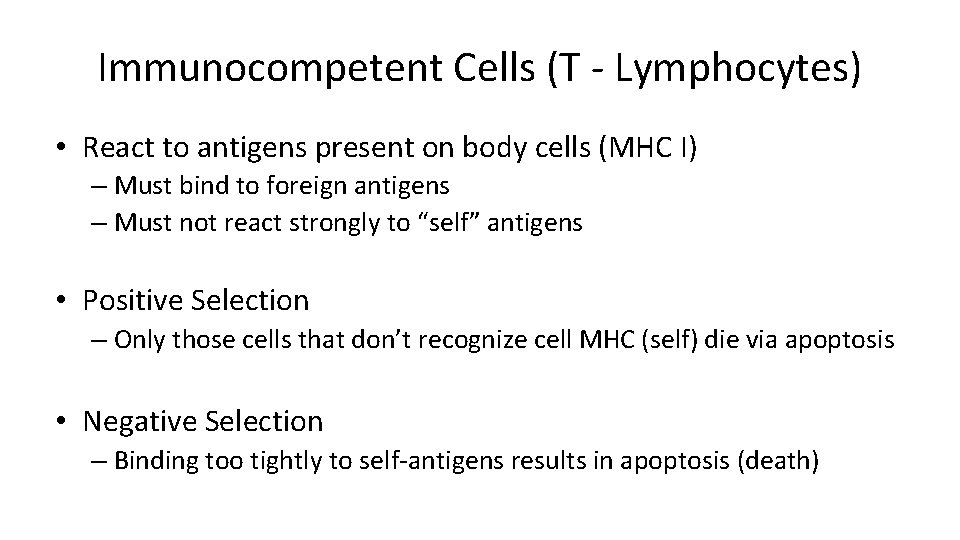 Immunocompetent Cells (T - Lymphocytes) • React to antigens present on body cells (MHC