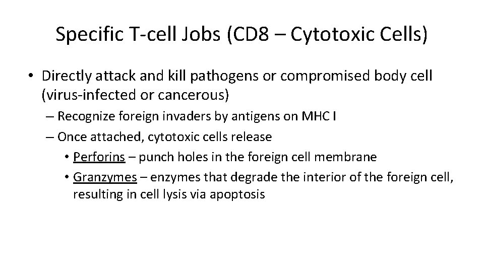 Specific T-cell Jobs (CD 8 – Cytotoxic Cells) • Directly attack and kill pathogens