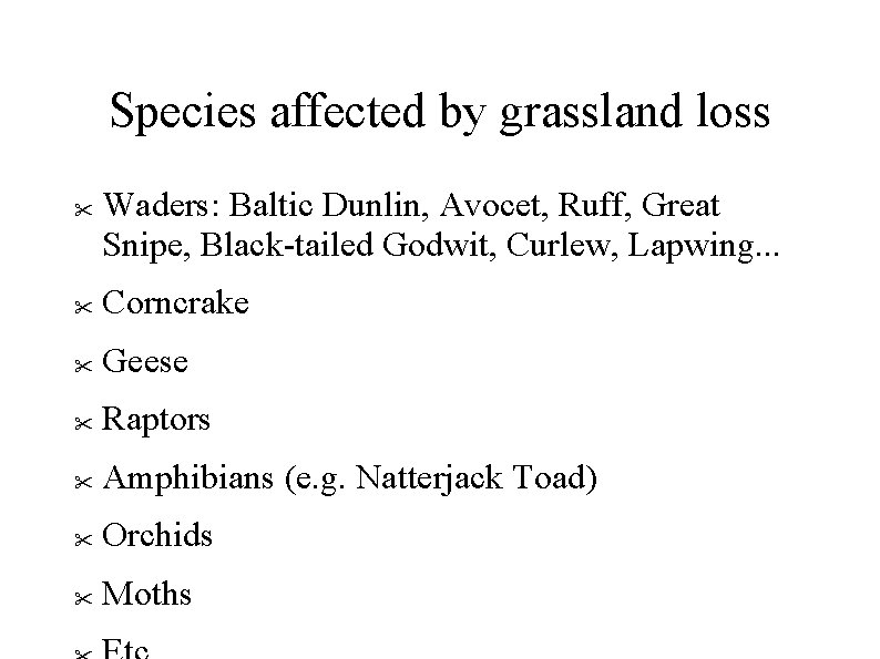 Species affected by grassland loss Waders: Baltic Dunlin, Avocet, Ruff, Great Snipe, Black-tailed Godwit,