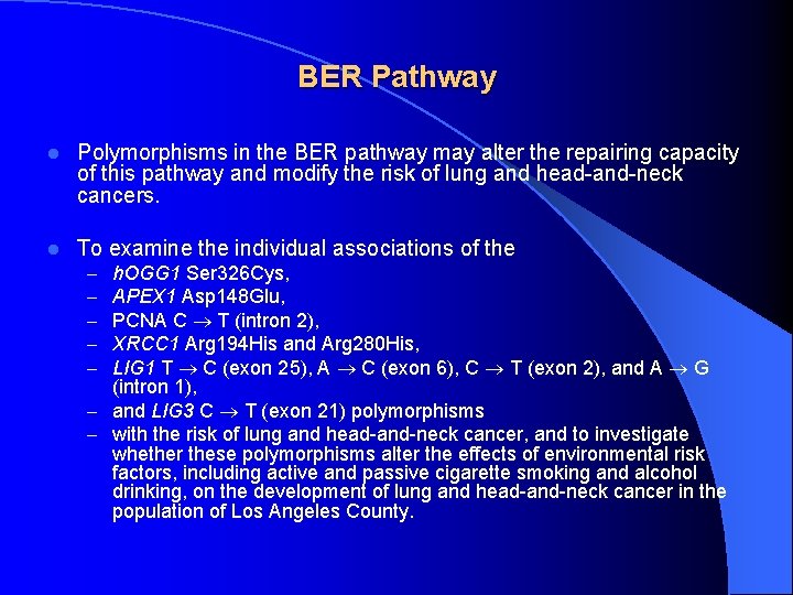BER Pathway l Polymorphisms in the BER pathway may alter the repairing capacity of