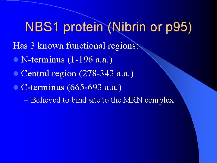 NBS 1 protein (Nibrin or p 95) Has 3 known functional regions: l N-terminus
