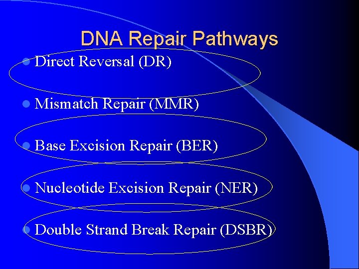 DNA Repair Pathways l Direct Reversal (DR) l Mismatch l Base Repair (MMR) Excision