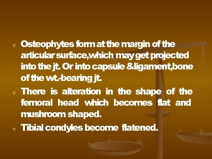  Osteophytes form at the margin of the articular surface, which may get projected