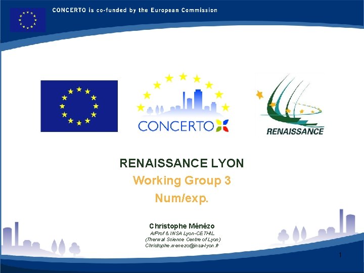 RENAISSANCE - LYON FRANCE RENAISSANCE LYON Working Group 3 Num/exp. Christophe Ménézo A/Prof &