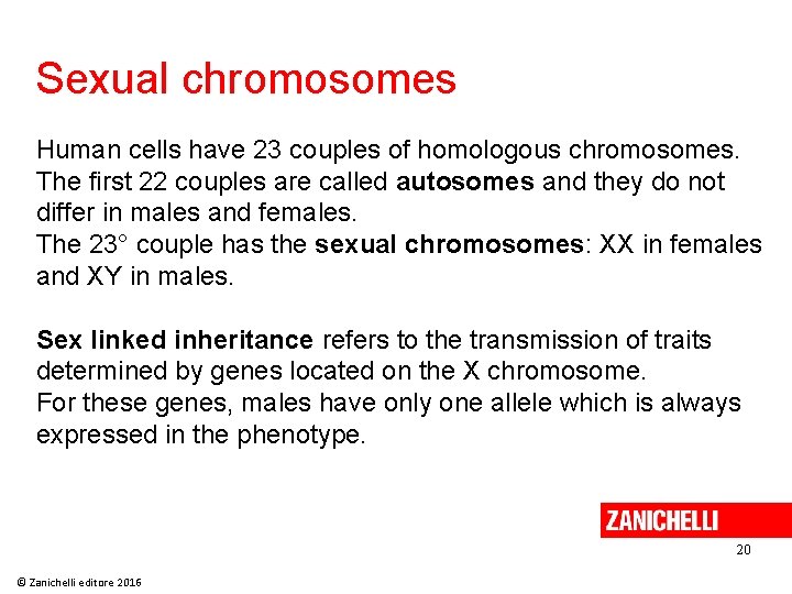 Sexual chromosomes Human cells have 23 couples of homologous chromosomes. The first 22 couples Sexual chromosomes Human cells have 23 couples of homologous chromosomes. The first 22 couples