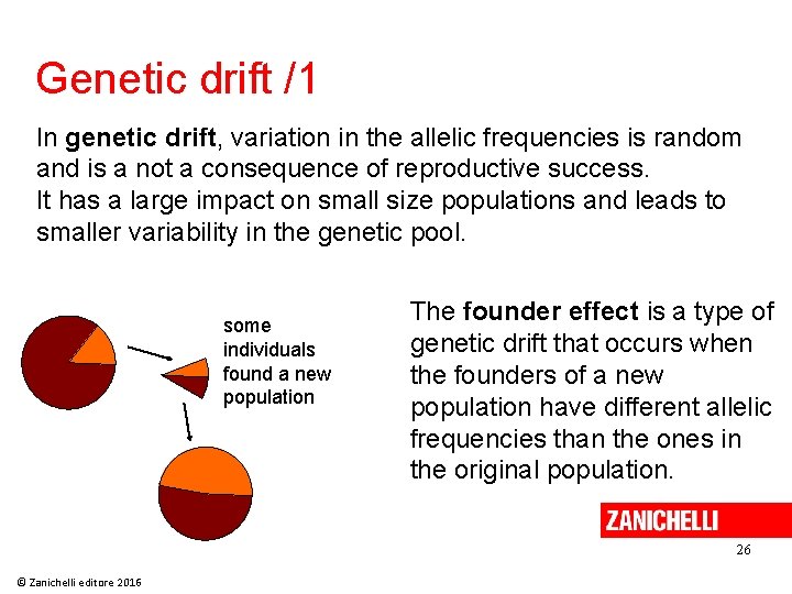 Genetic drift /1 In genetic drift, variation in the allelic frequencies is random and Genetic drift /1 In genetic drift, variation in the allelic frequencies is random and