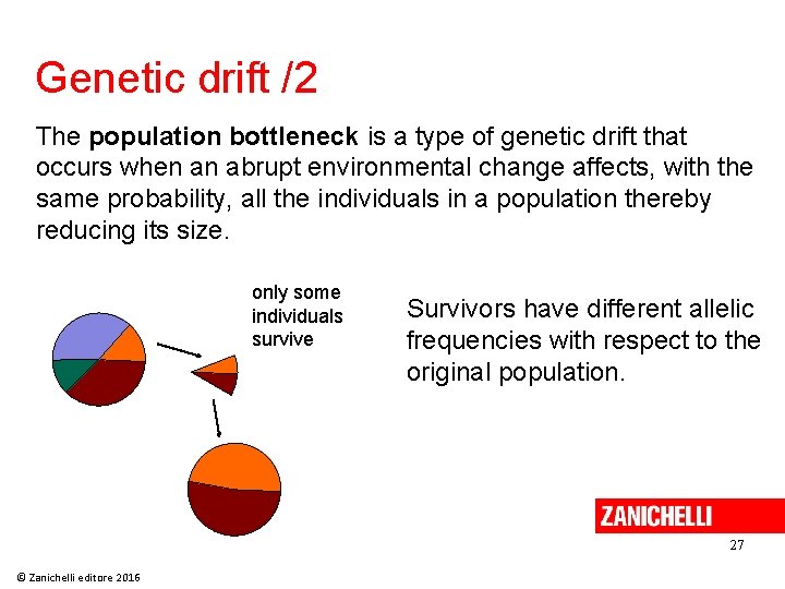 Genetic drift /2 The population bottleneck is a type of genetic drift that occurs Genetic drift /2 The population bottleneck is a type of genetic drift that occurs