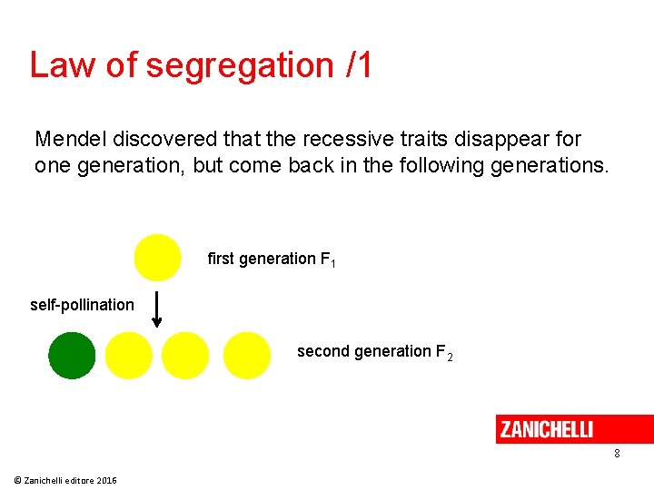 Law of segregation /1 Mendel discovered that the recessive traits disappear for one generation, Law of segregation /1 Mendel discovered that the recessive traits disappear for one generation,