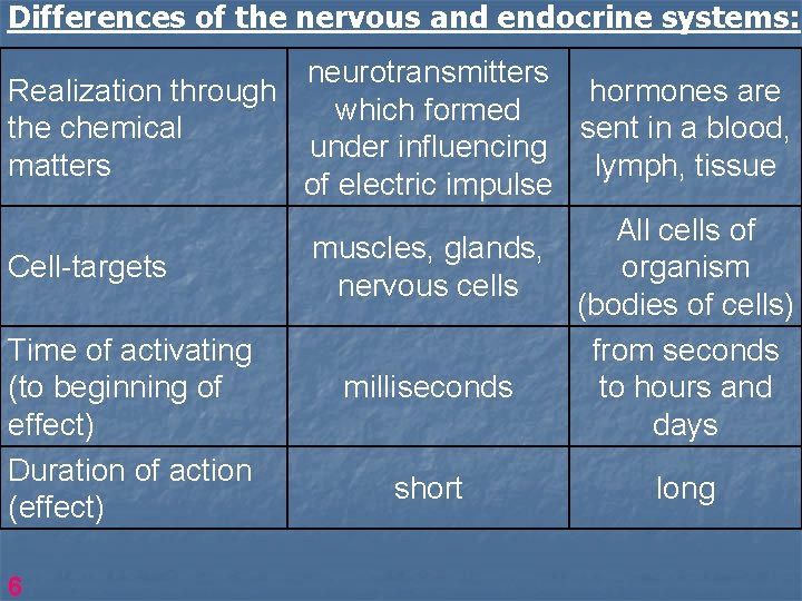 Endocrine System 1 2 Morphological Differences Exocrine Glands