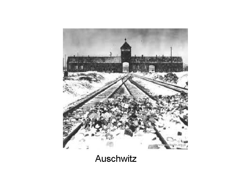 Auschwitz 