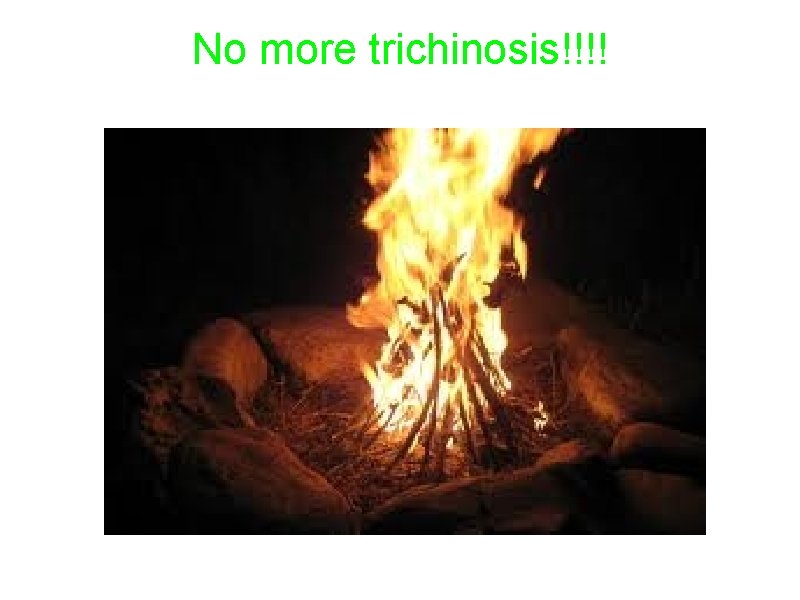 No more trichinosis!!!! 