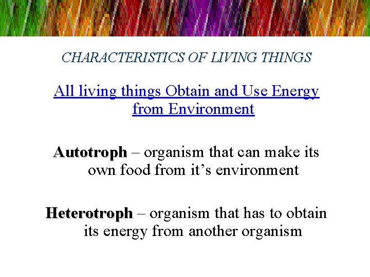 CHARACTERISTICS OF LIVING THINGS All living things Obtain and Use Energy from Environment Autotroph