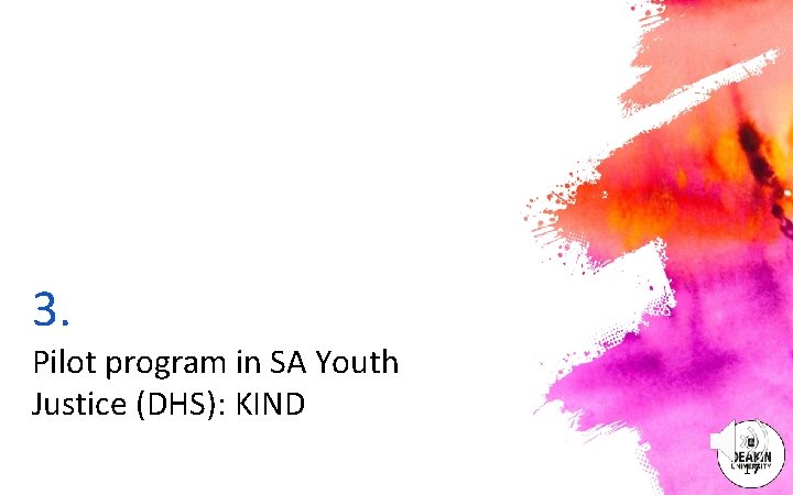 3. Pilot program in SA Youth Justice (DHS): KIND 17 