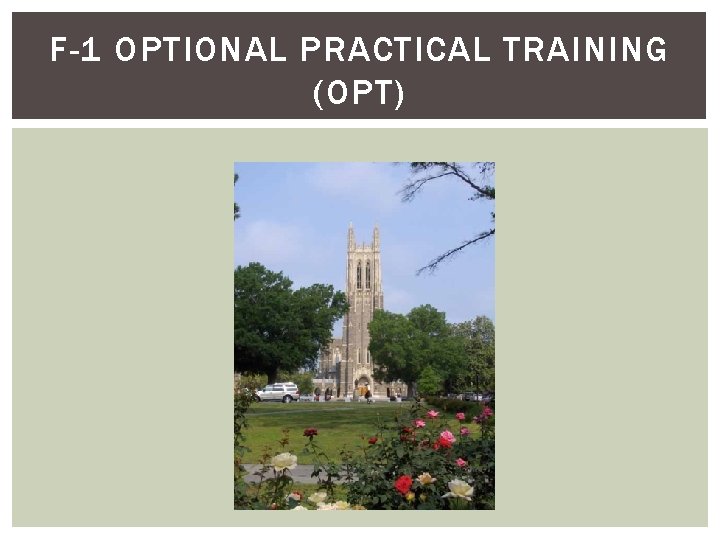 F-1 OPTIONAL PRACTICAL TRAINING (OPT) 