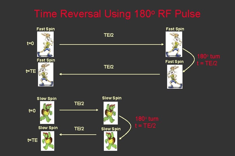 Time Reversal Using 180 o RF Pulse Fast Spin TE/2 t=0 Fast Spin TE/2