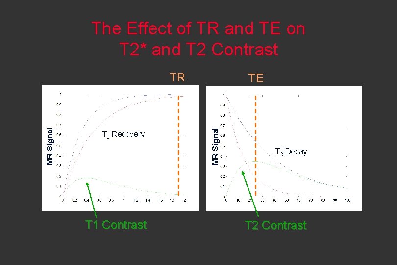 The Effect of TR and TE on T 2* and T 2 Contrast T
