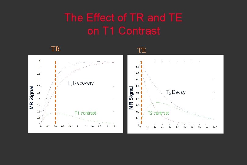 The Effect of TR and TE on T 1 Contrast TE T 1 Recovery